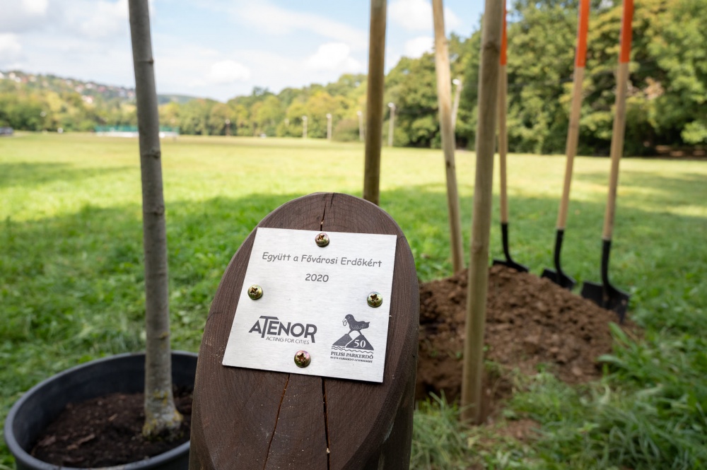 ATENOR planted 2020 trees in Budapest